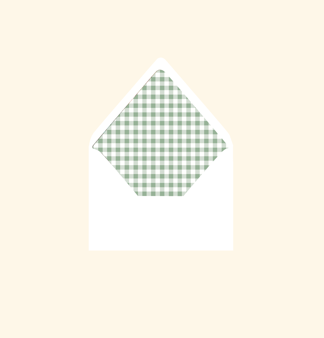 Envelope liner ~ Gingham