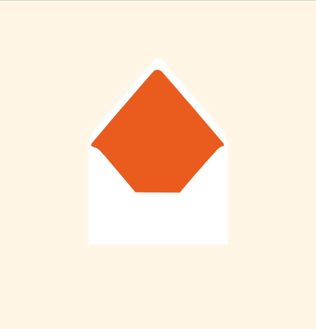 Envelope liner ~ Solid colour