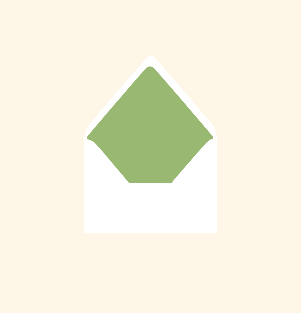 Envelope liner ~ Solid colour