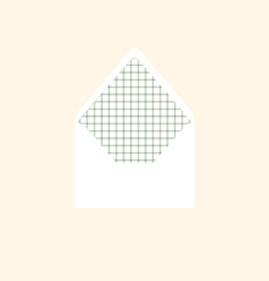Envelope liner ~ Gingham 2