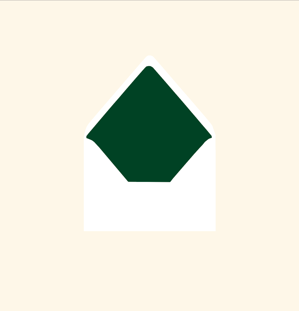 Envelope liner ~ Solid colour