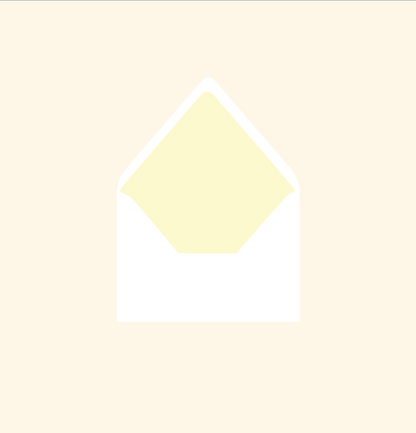 Envelope liner ~ Solid colour